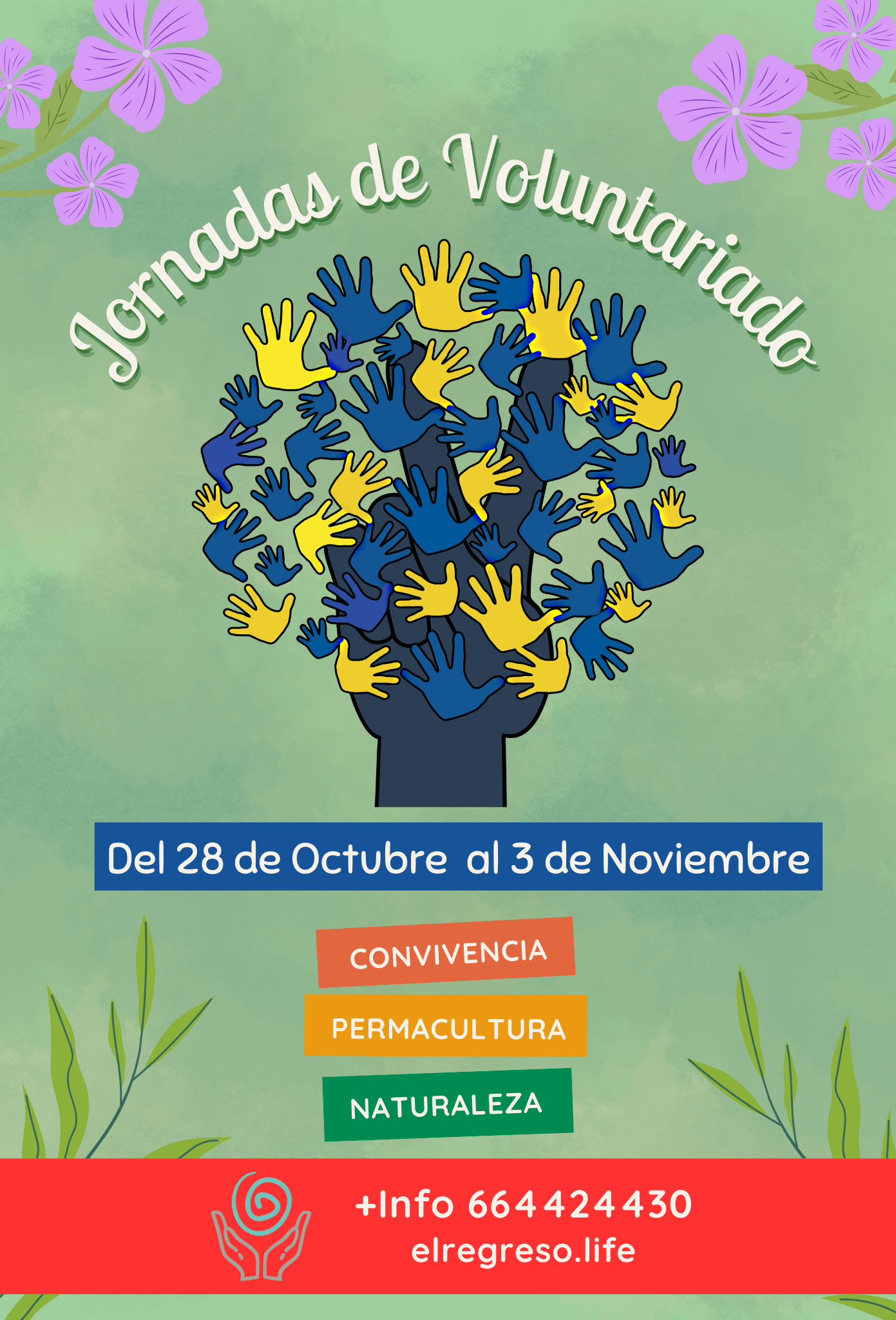 Jornadas de Voluntariado