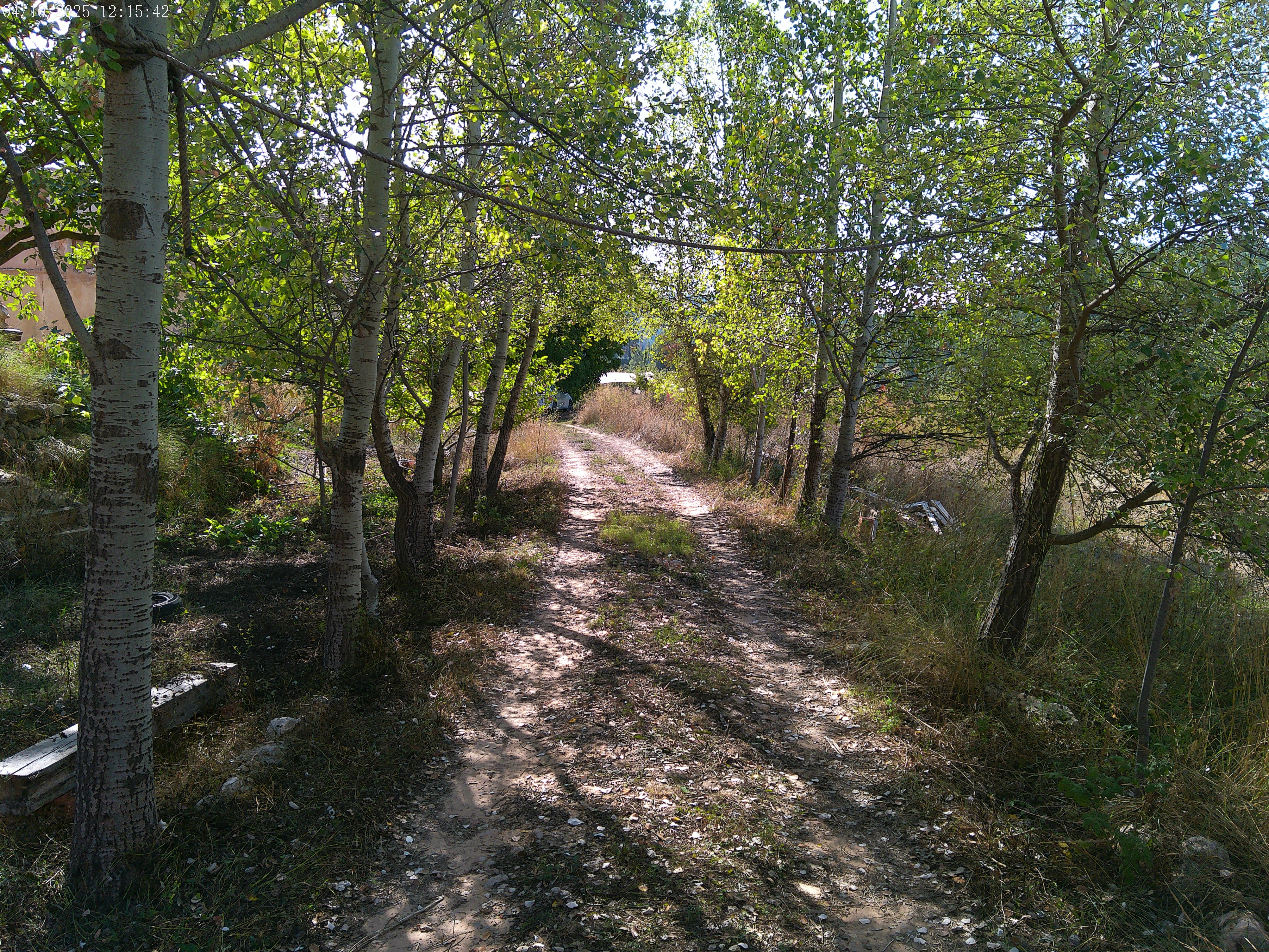 Camino