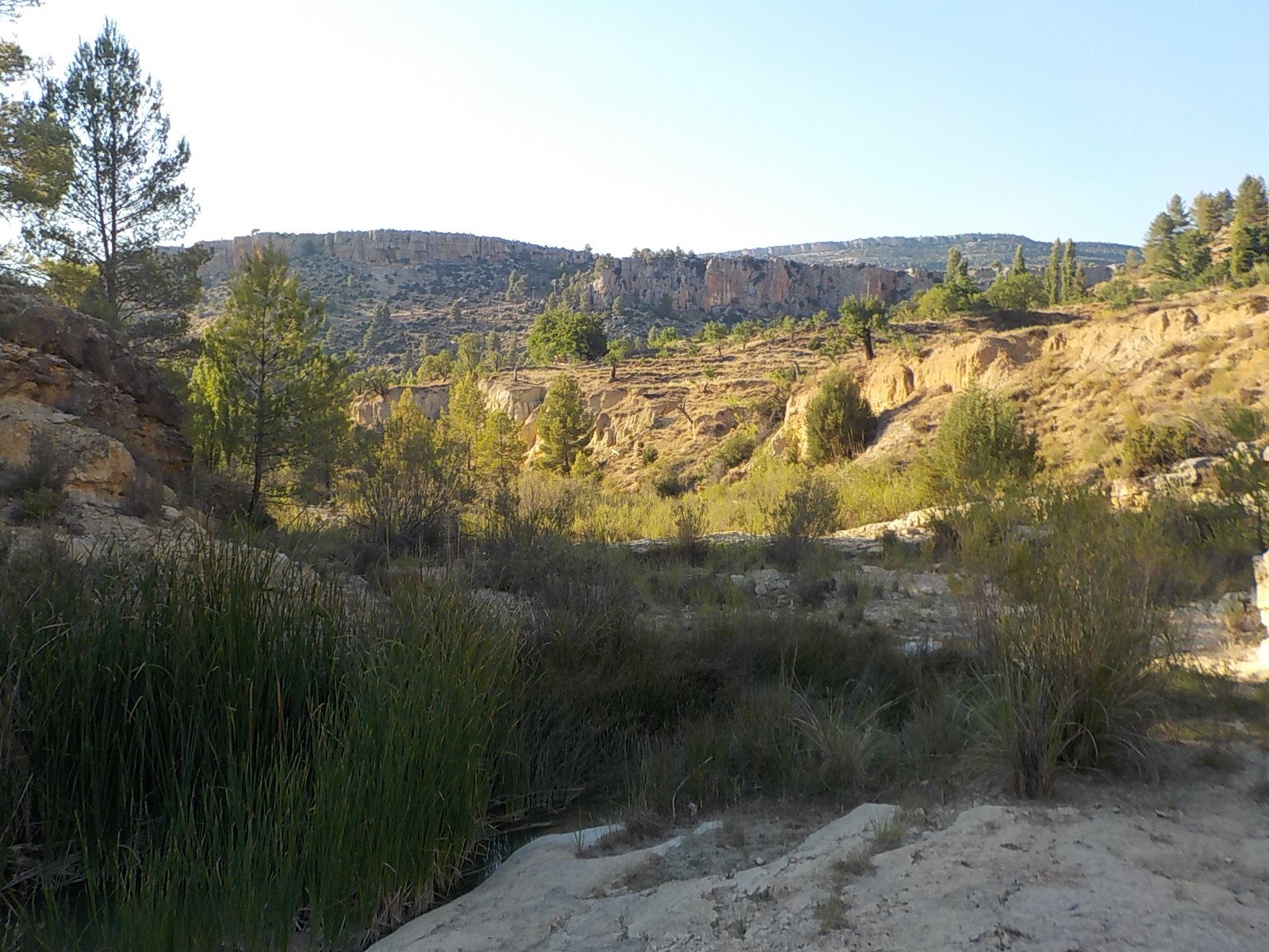 el-habitat-cerca-del-arroyo