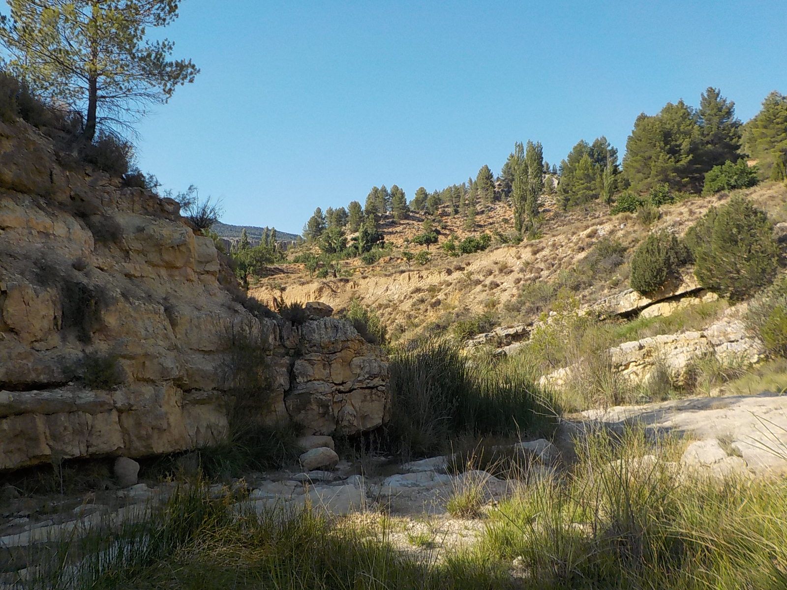 el-habitat-junto-a-la-balsa-del-arroyo