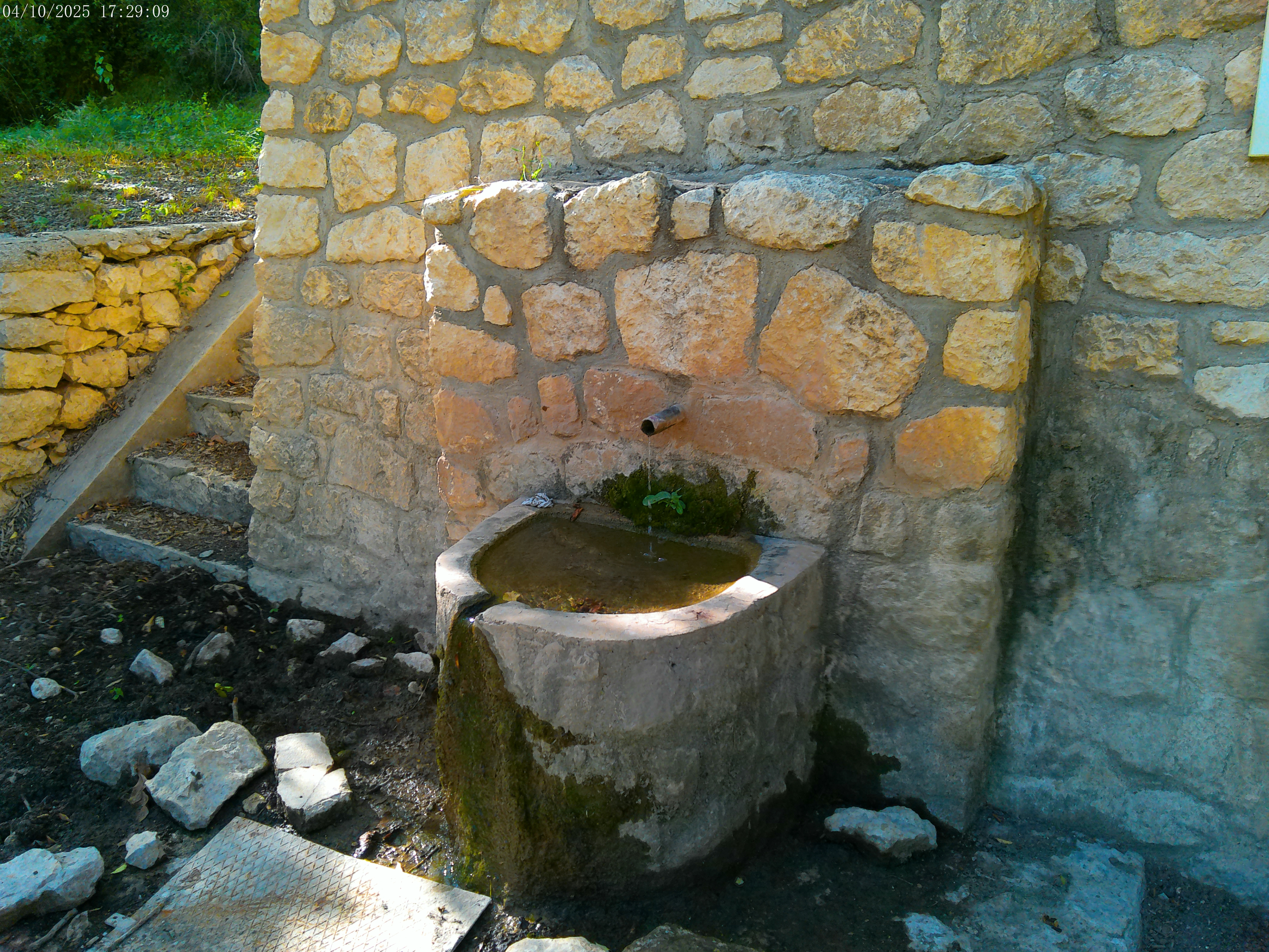 Fuente almeces 2