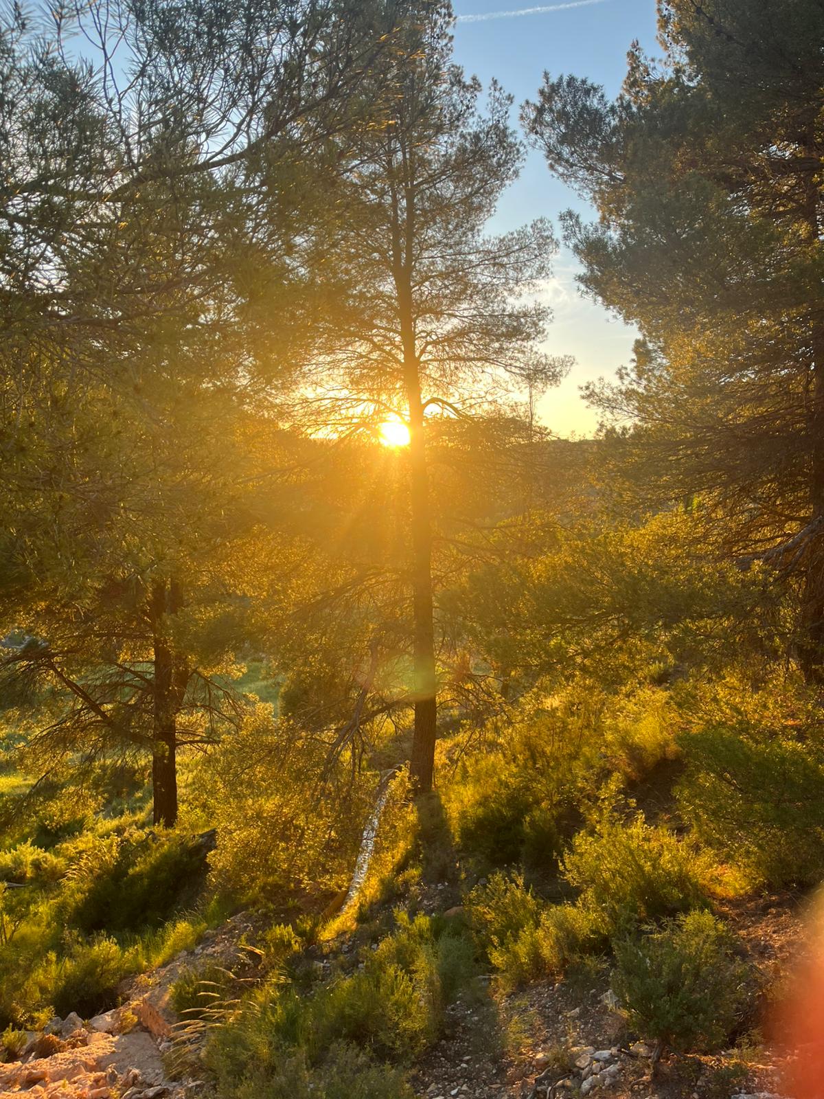 Paisaje 2